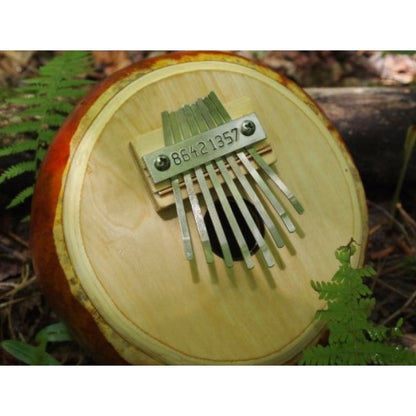 Kalimba Thumb Piano, Canteen Gourd