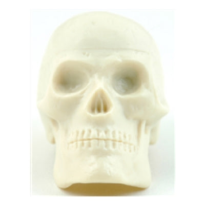 Beadbrain Skull Shaker